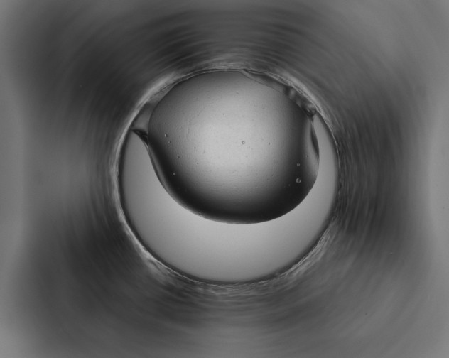 X0000087311434200705112108