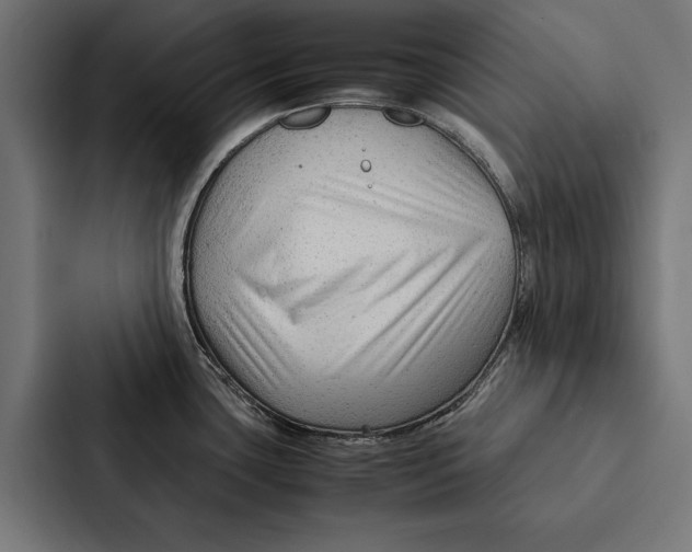 X0000087311435200705112108