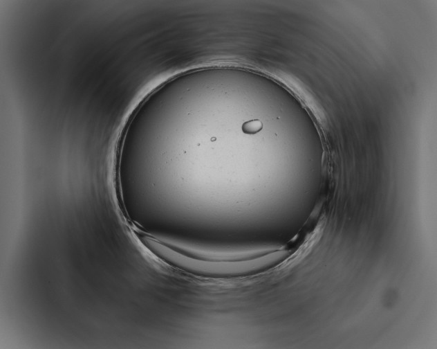 X0000087311438200705112108