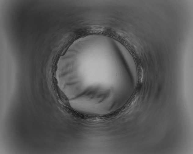 X0000087311441200705112107