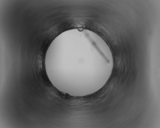 X0000087311442200705112107