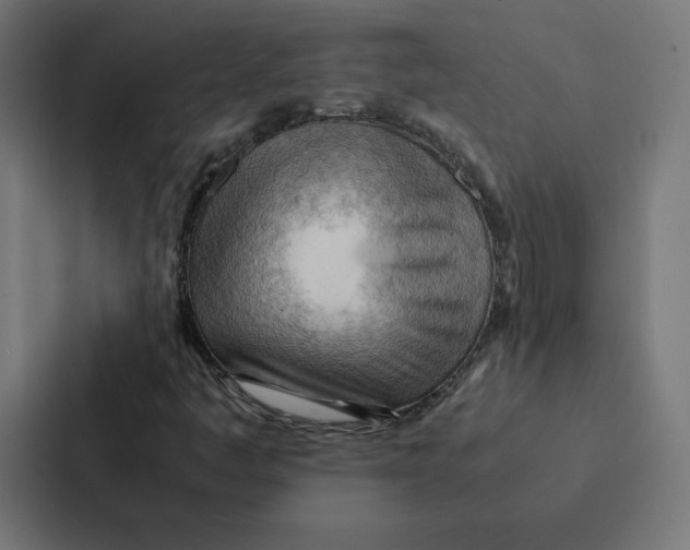 X0000087311445200705112107