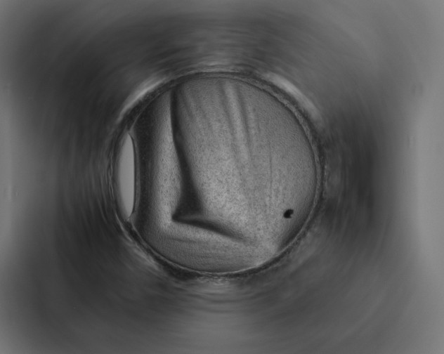 X0000087311450200705112107