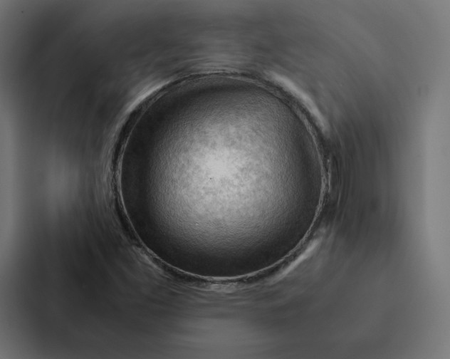 X0000087311453200705112107