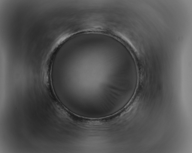 X0000087311455200705112107