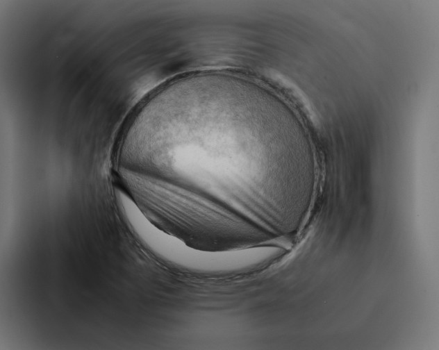 X0000087311457200705112107