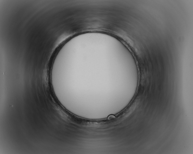 X0000087311458200705112107