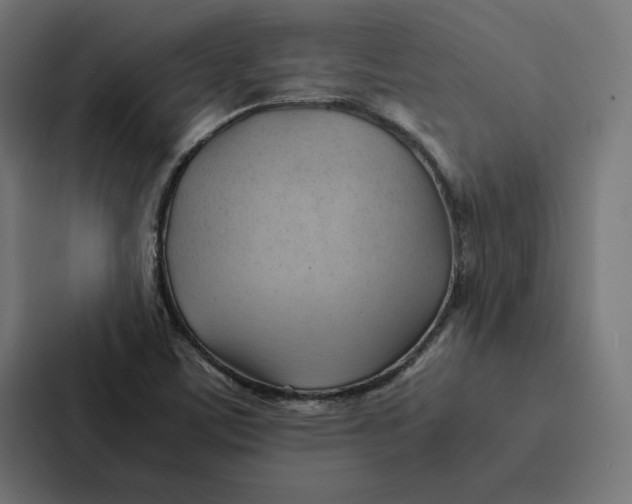 X0000087311459200705112107