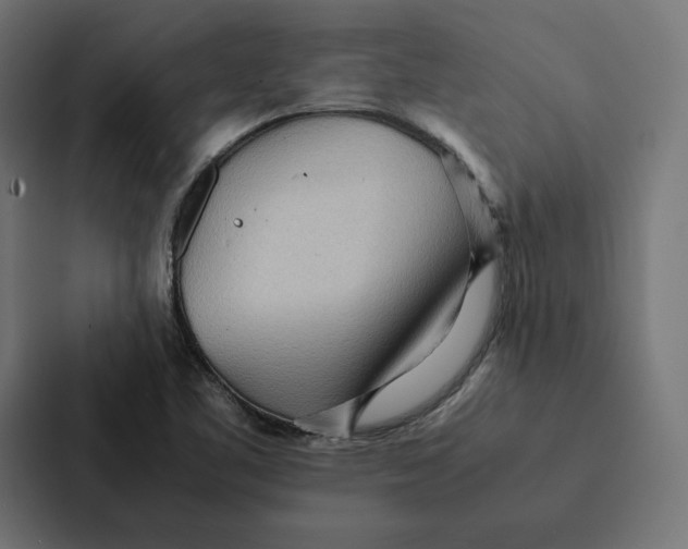 X0000087311461200705112107