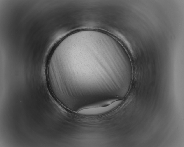 X0000087311464200705112107