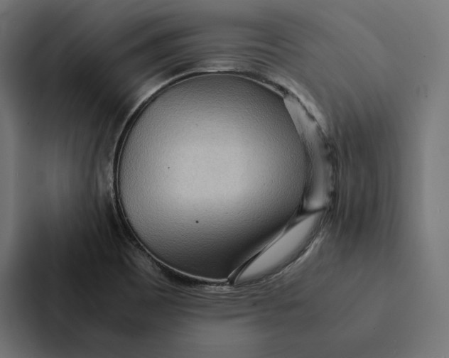 X0000087311465200705112107