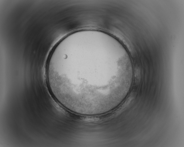 X0000087311466200705112107