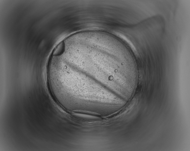 X0000087311467200705112107