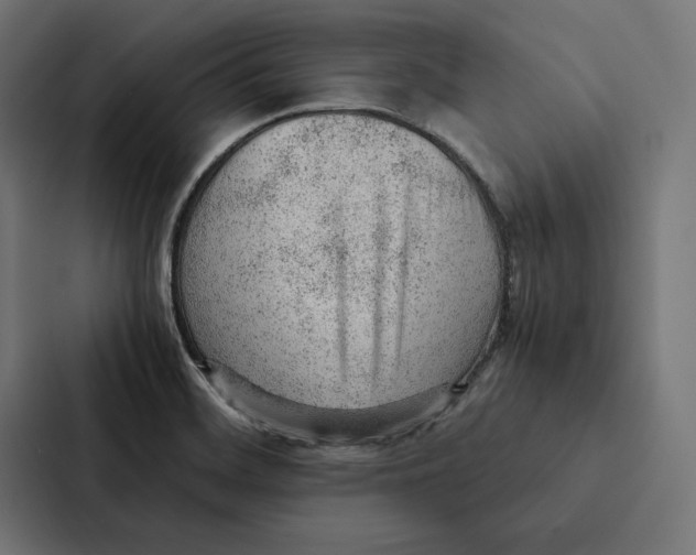 X0000087311468200705112107