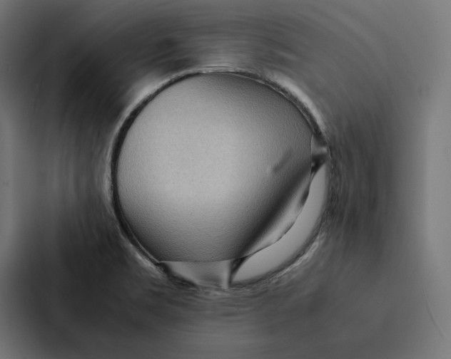 X0000087311469200705112107