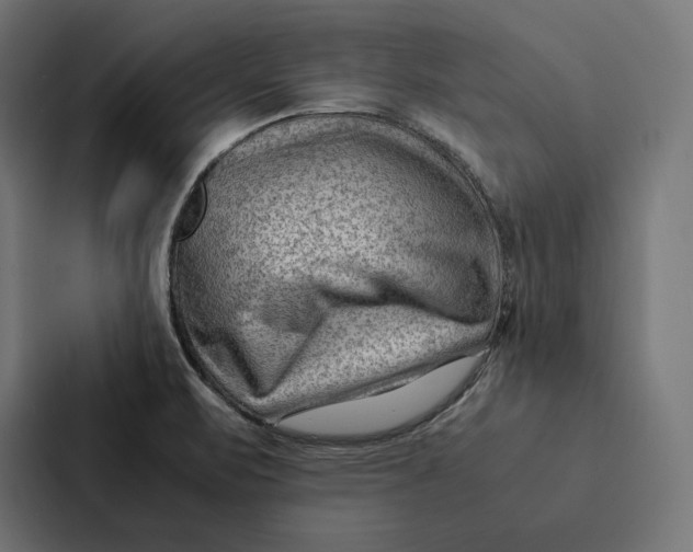 X0000087311471200705112107