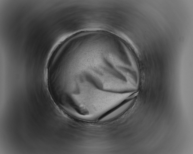 X0000087311472200705112107