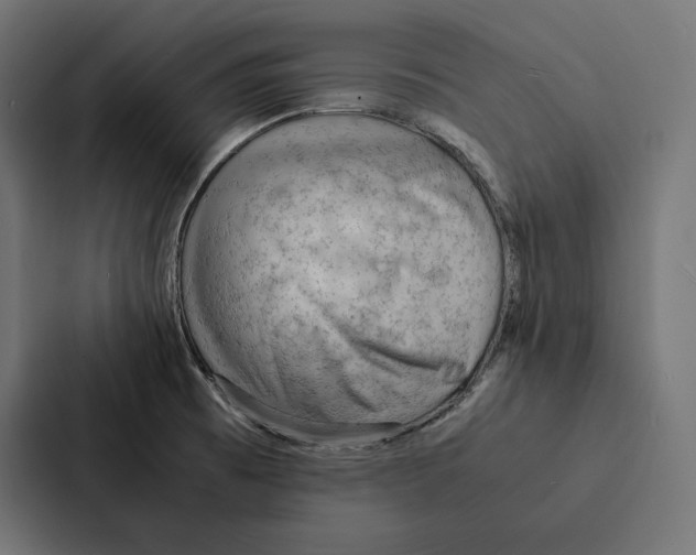 X0000087311473200705112107