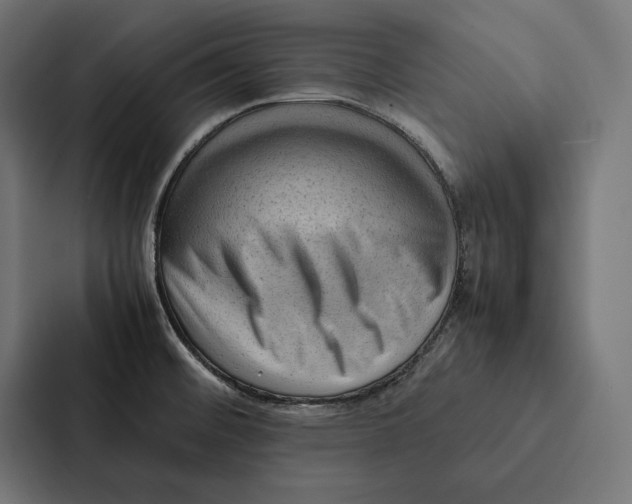 X0000087311476200705112107