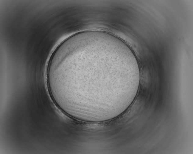 X0000087311478200705112107