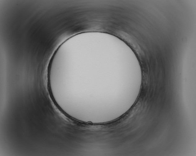 X0000087311479200705112107