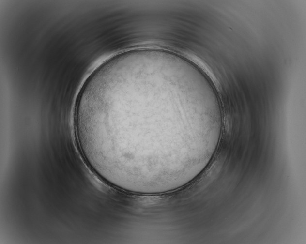 X0000087311482200705112107