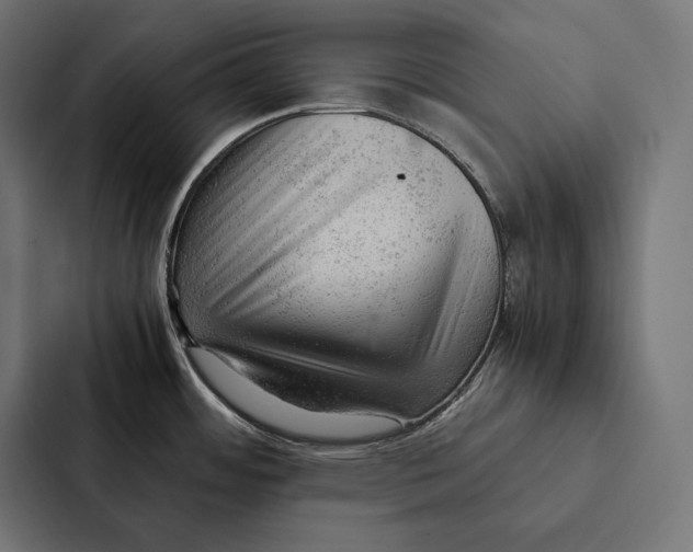 X0000087311484200705112107