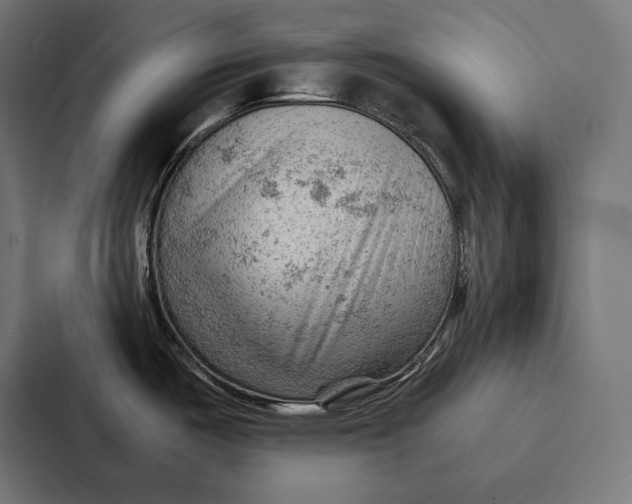 X0000087311487200705112107