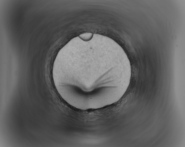 X0000087311489200705112106