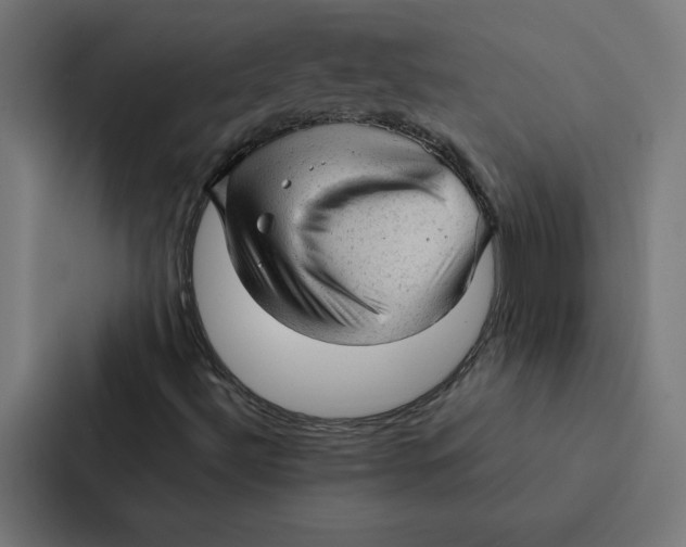 X0000087311492200705112106