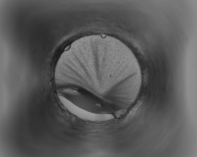 X0000087311494200705112106