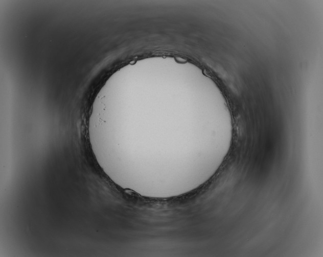 X0000087311495200705112106