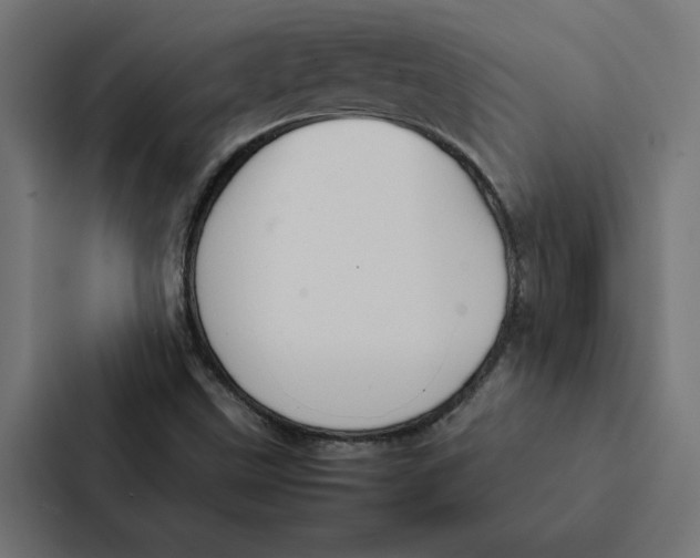 X0000087311499200705112106