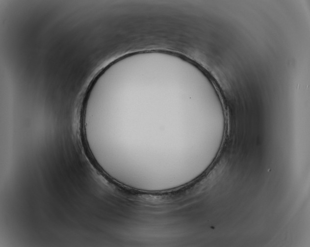 X0000087311500200705112106