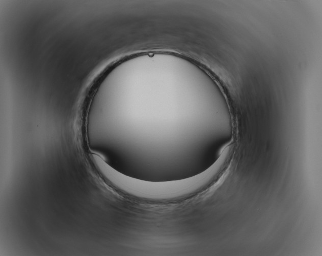 X0000087311502200705112106