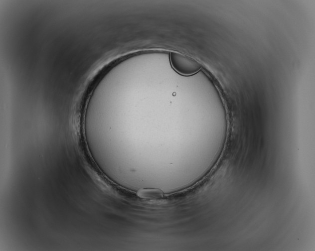 X0000087311503200705112106