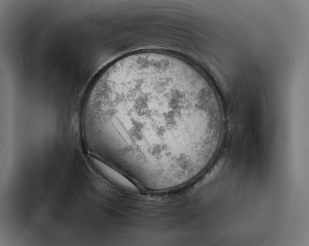 X0000087311505200705112106