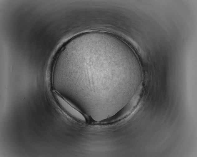 X0000087311506200705112106