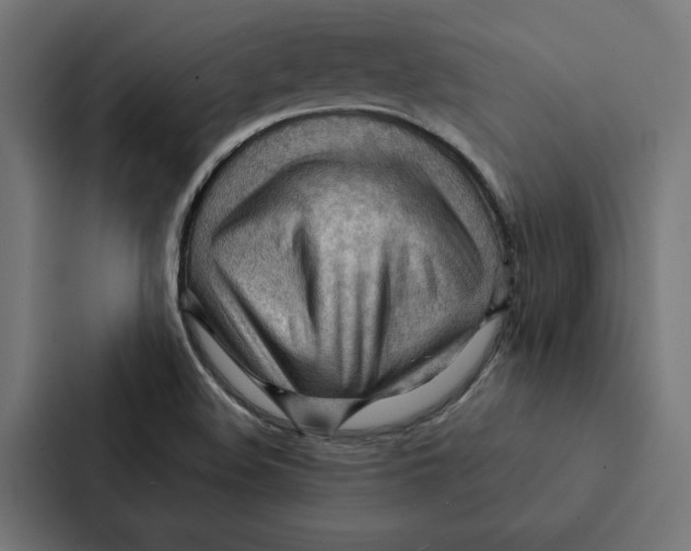 X0000087311508200705112106