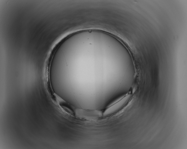 X0000087311510200705112106