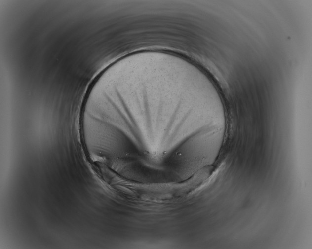 X0000087311513200705112106