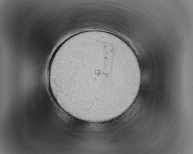 X0000087311514200705112106