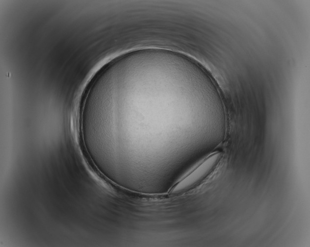 X0000087311515200705112106