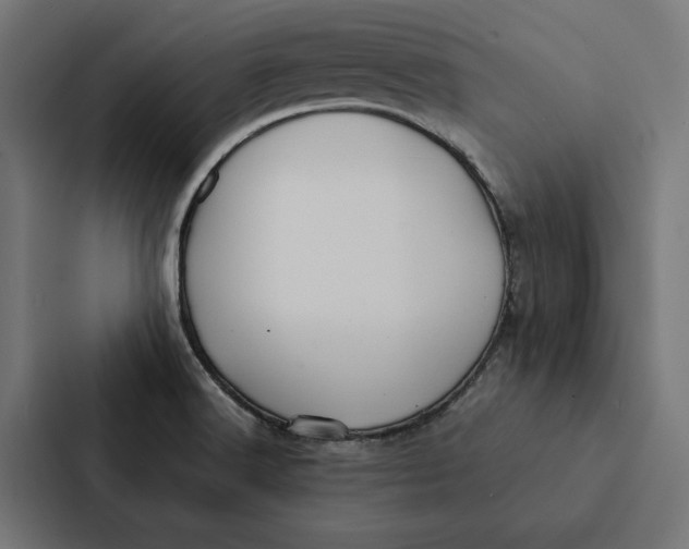 X0000087311516200705112106