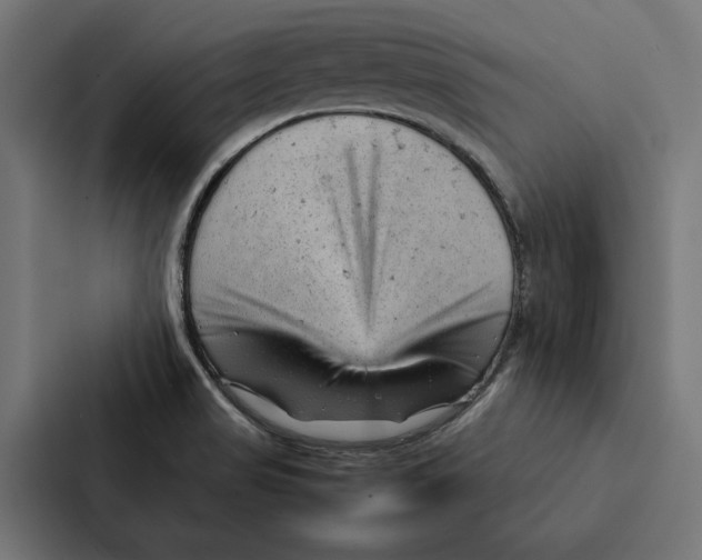 X0000087311517200705112106