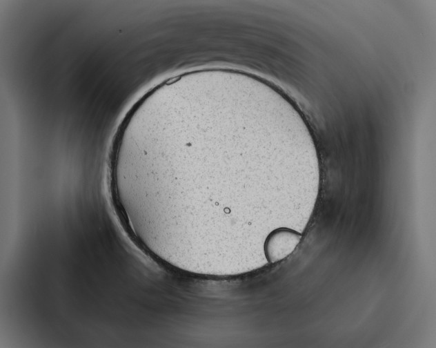 X0000087311518200705112106