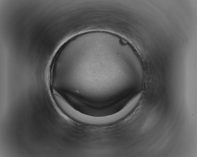 X0000087311519200705112106