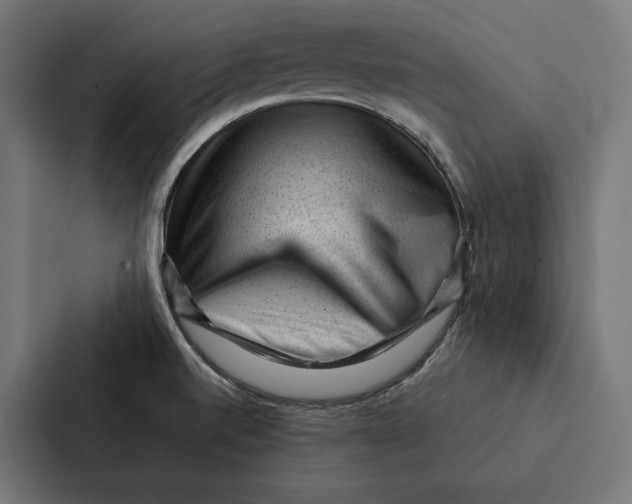 X0000087311520200705112106