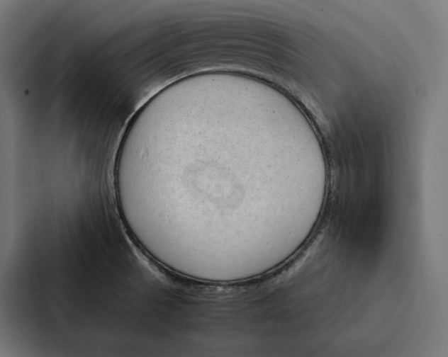 X0000087311521200705112107