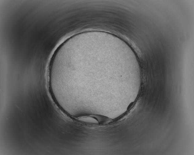 X0000087311522200705112107